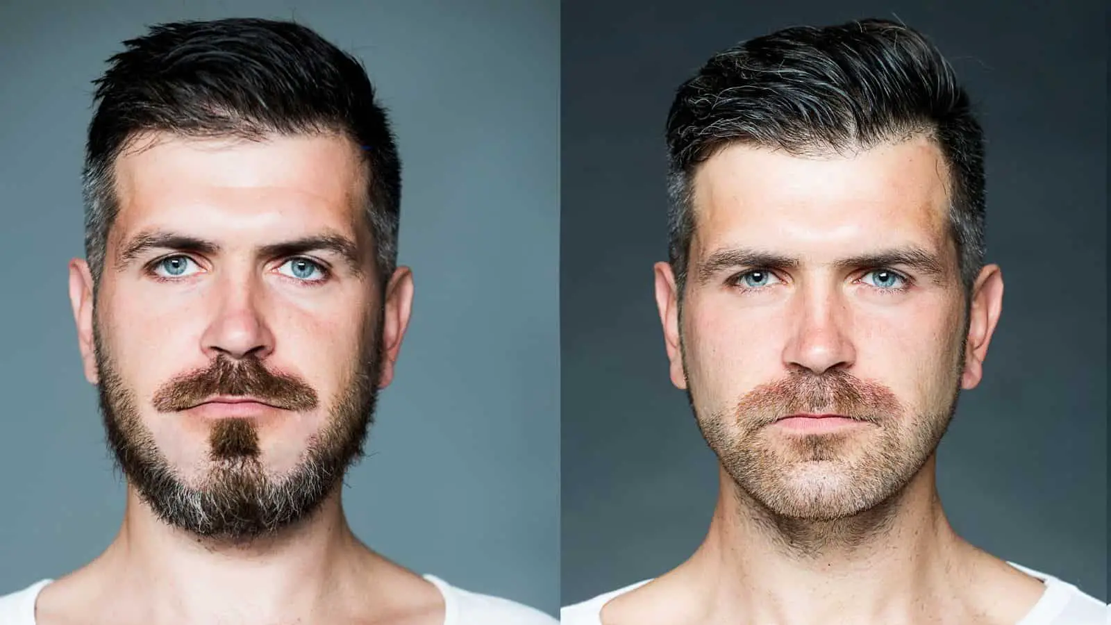 What Beard Length is Best For You? < VOLT